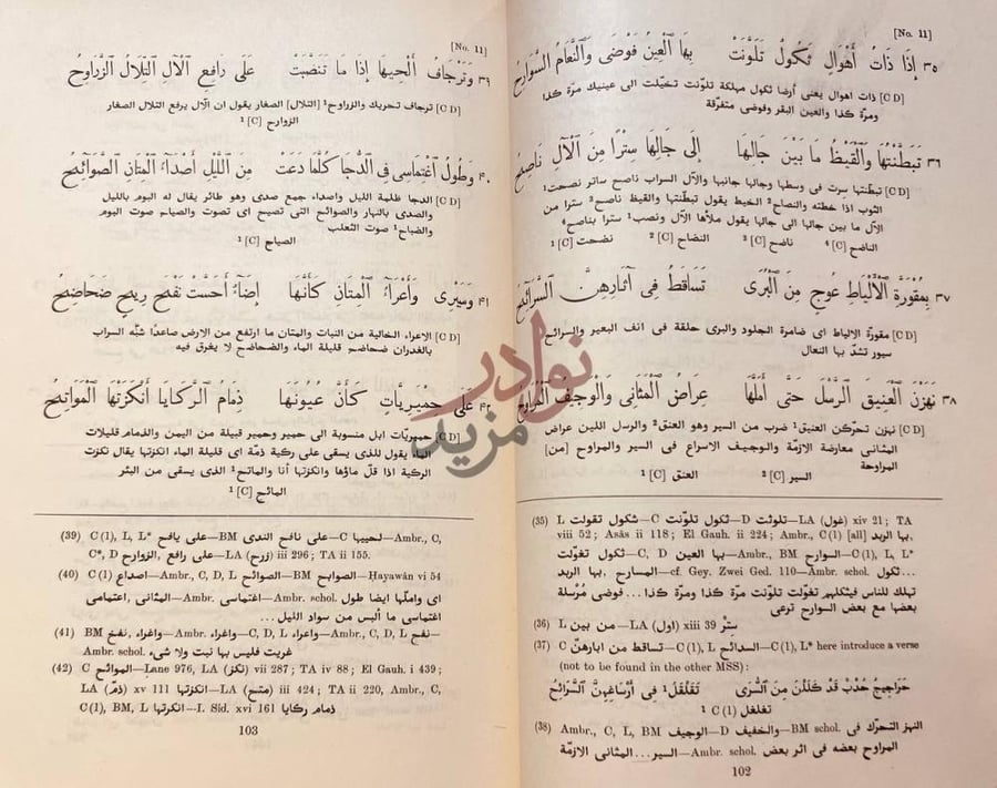 صفحة داخلية كتاب ديوان شعر ذي الرمة نص شعري مشروح