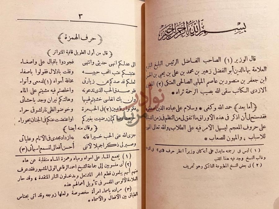 تمهيد كتاب ديوان ابي الفضل بهاء الدين زهير بسم الله الرحمن