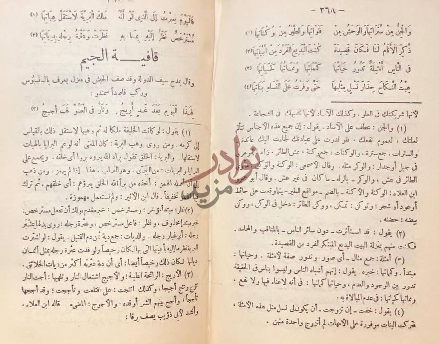 صفحة داخلية كتاب شرح ديوان المتنبي قافية الجيم