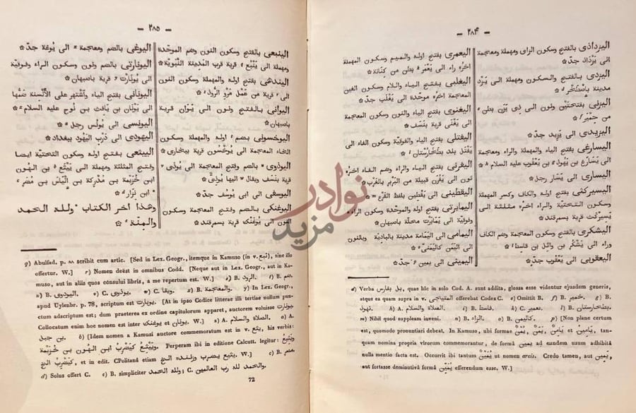 صفحة داخلية كتاب لب اللباب في تحرير الانساب