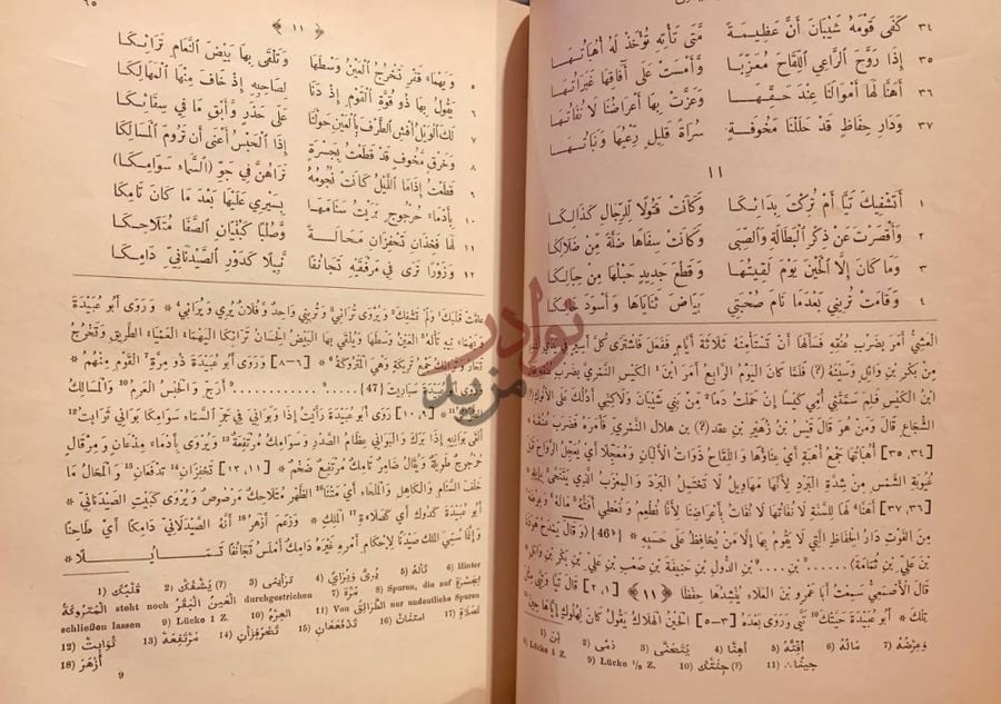 صفحة داخلية كتاب الصبح المنير في شعر ابي بصير