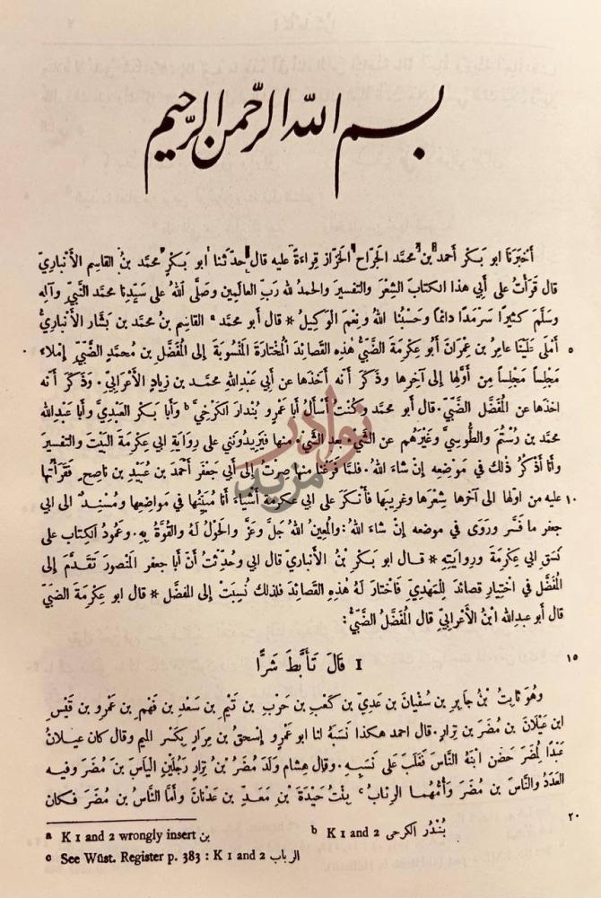 صفحة داخلية كتاب ديوان المفضليات بسم الله الرحمن