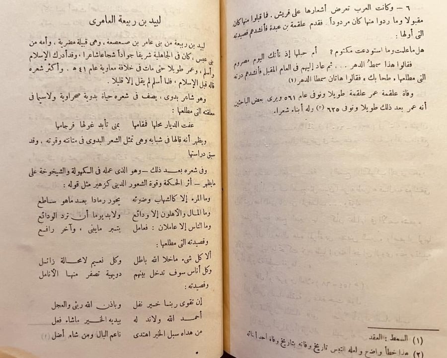 الشعراء الجاهليون/محمد خفاجي