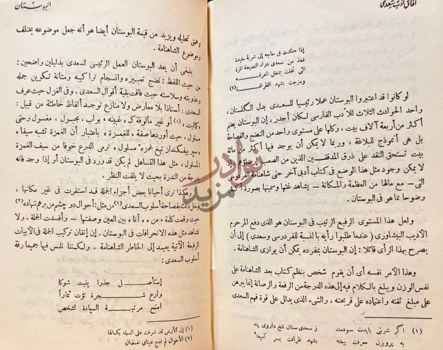صفحة داخلية كتاب افاق ادب سعدي الشيرازي البستان