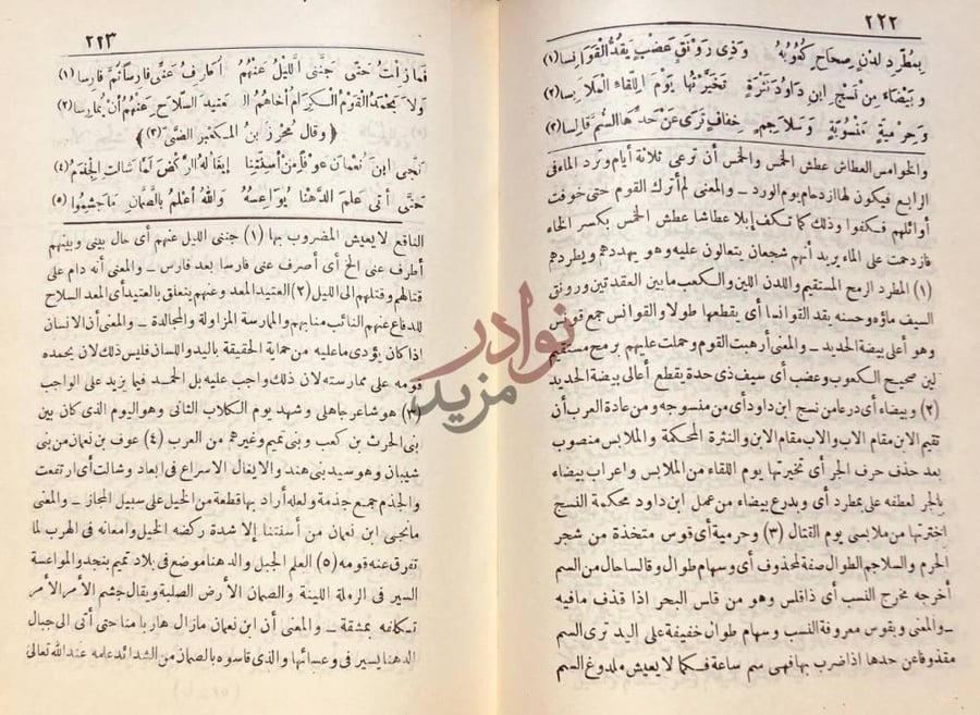 صفحة داخلية كتاب ديوان الحماسة شرح الشعر