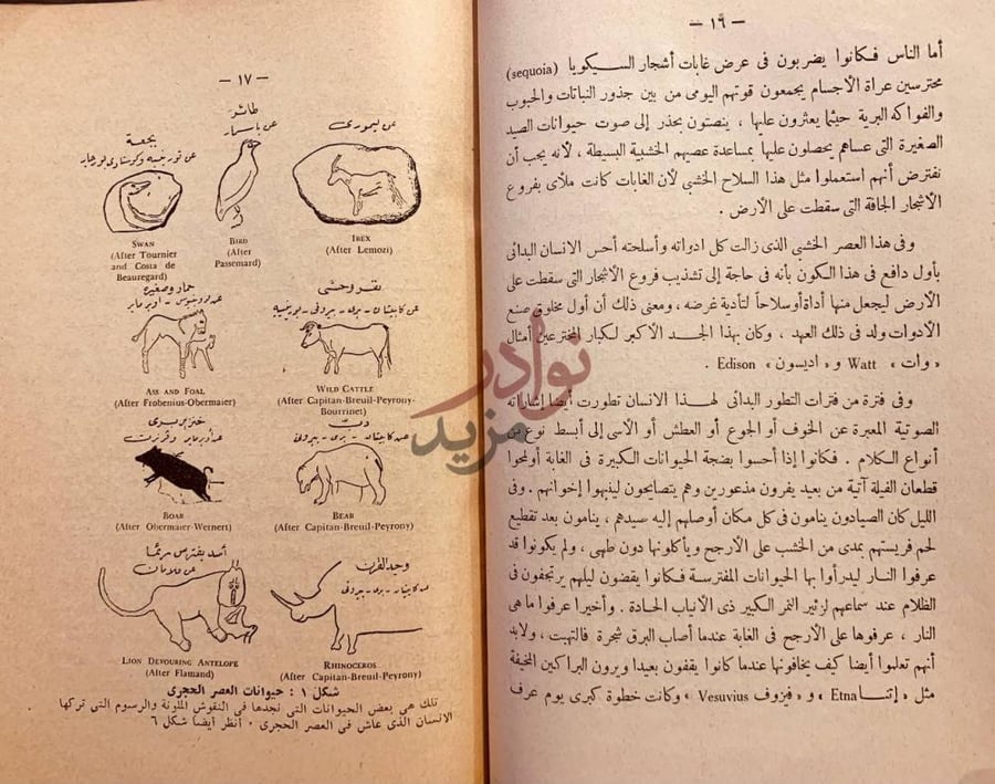 صفحة داخلية كتاب انتصار الحضارة تاريخ الشرق القديم