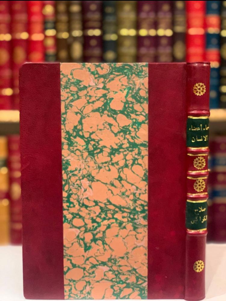 نظرة عيان وتبيان في مقالة اسماء اعضاء الانسان/ صلاح الدين الكواكبي