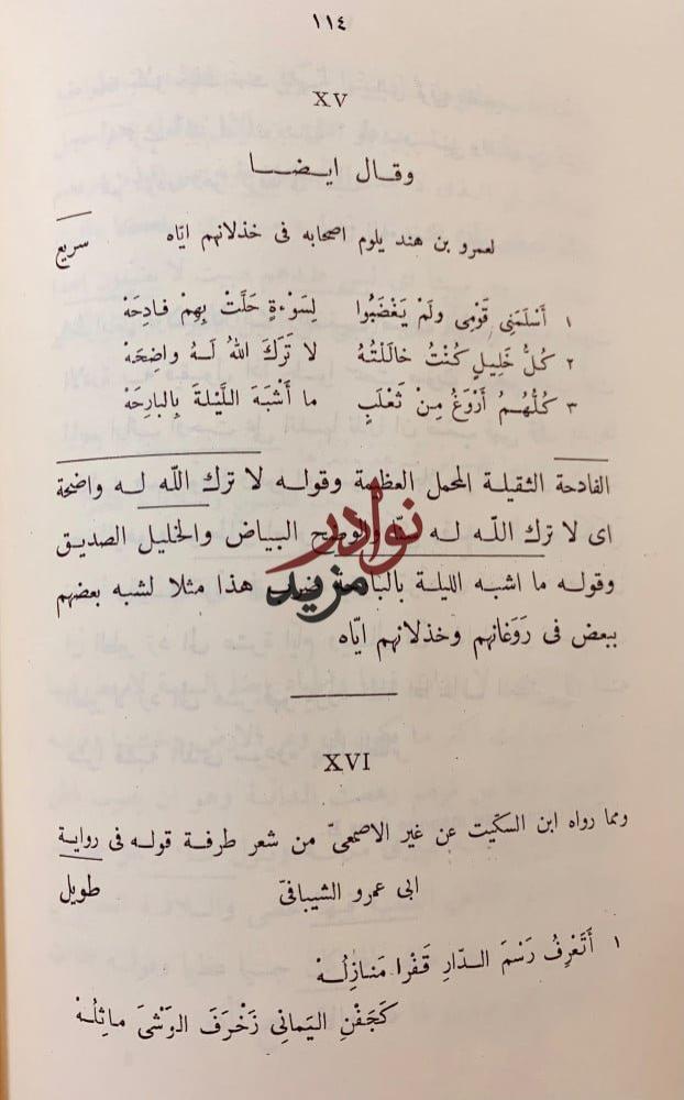 ديوان طرفة بن العبد البكرى/شرح معلقة طرفة/شرح ديوان طرفة بن العبد