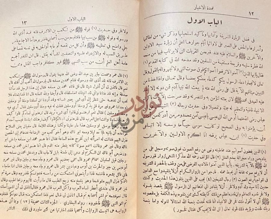 فصل كتاب عمدة الاخبار في مدينة المختار الباب الاول