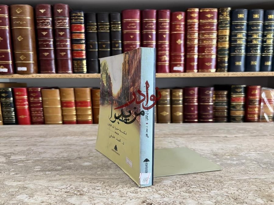 شبرا اسكندرية صغيرة في القاهرة/محمد عفيفي