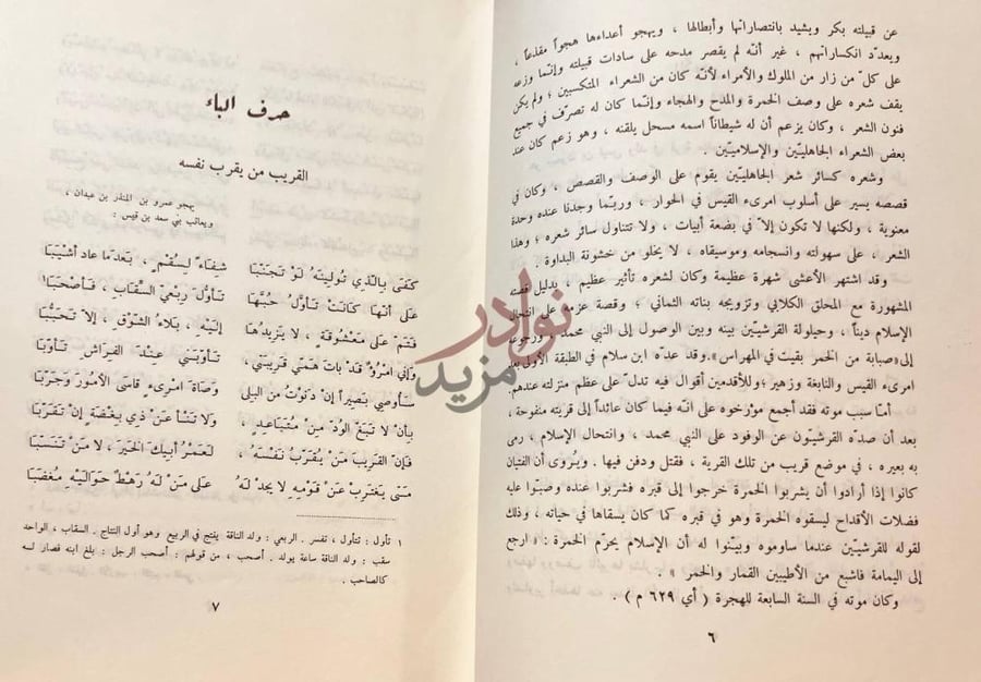 صفحة داخلية كتاب ديوان الاعشى حرف الباء