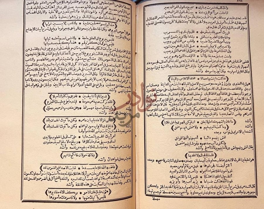 صفحة داخلية كتاب شرح شواهد المغني شواهد ميم