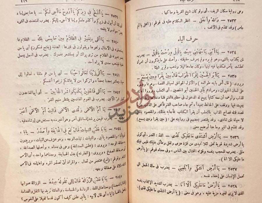 صفحة داخلية كتاب الامثال العامية حرف الياء