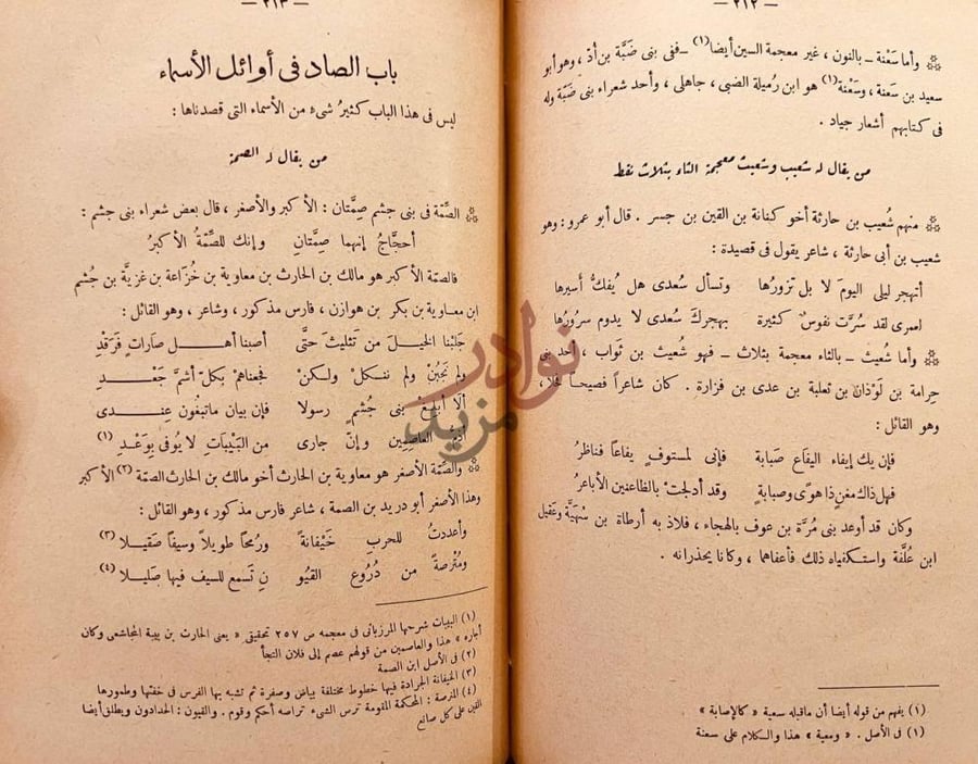 صفحة داخلية كتاب المؤتلف والمختلف باب الصاد في أوائل