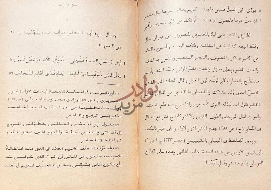 صفحة داخلية كتاب شرح ديوان عروة بن الورد العبسي
