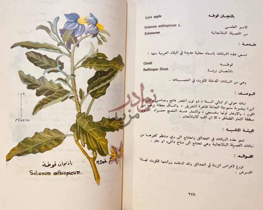صفحة داخلية كتاب نباتات البر واشجار الزينة في الكويت