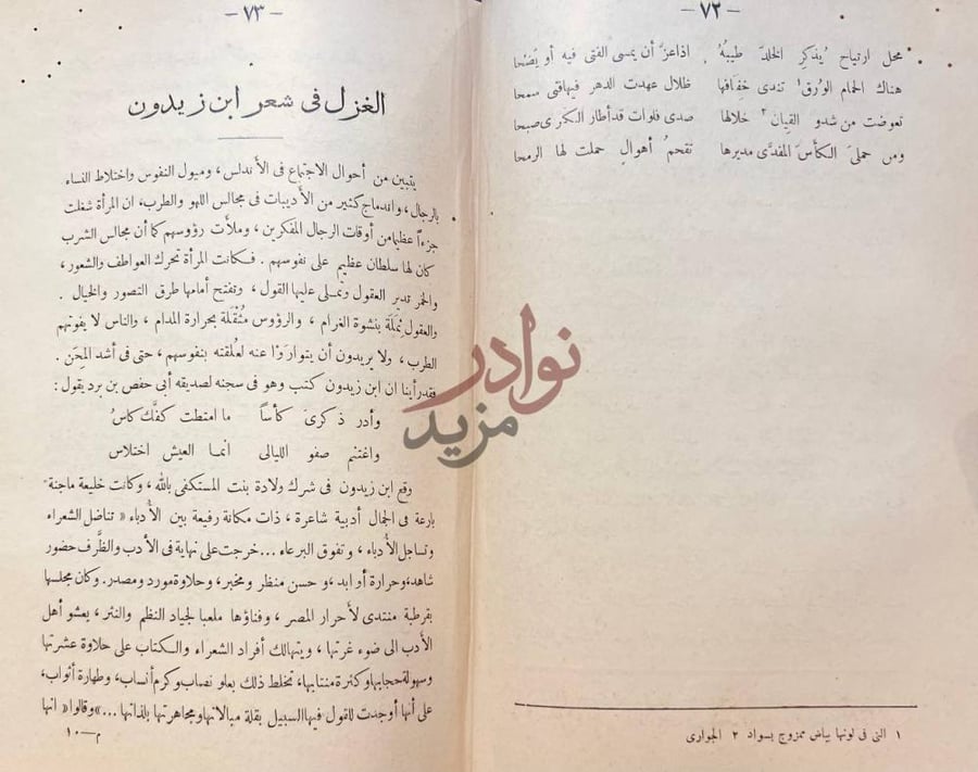 صفحة داخلية كتاب بلاغة العرب في الاندلس الغزل في شعر ابن