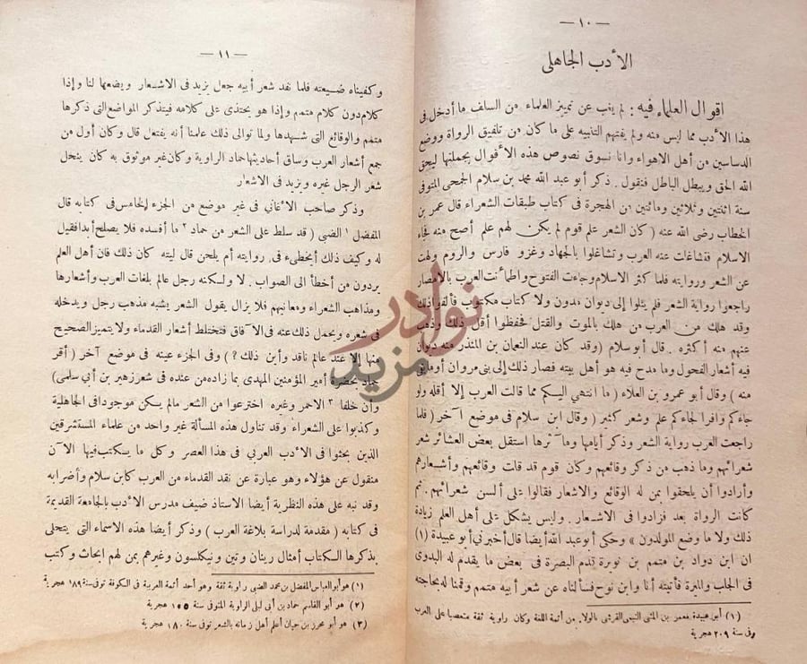 صفحة داخلية كتاب الادب العربي وتاريخه في العصر الجاهلي