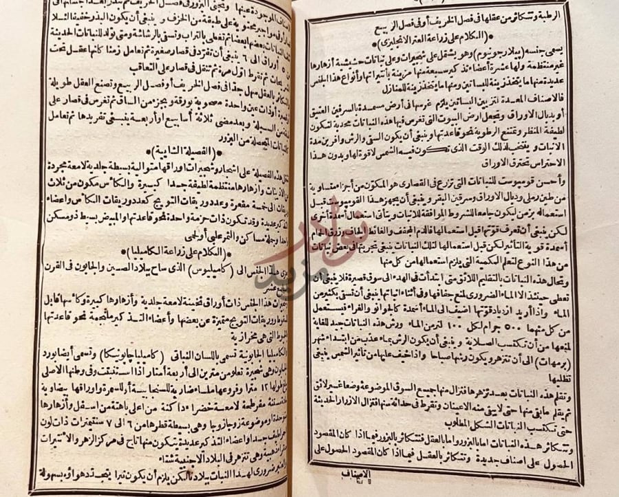 صفحة داخلية كتاب حسن الصناعة في علم الزراعة فصل الشادية