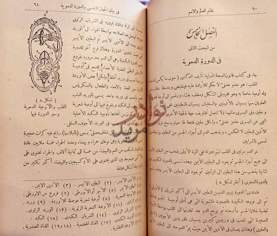 فصل كتاب نظام العالم والامم او الحكمة الاسلامية العليا