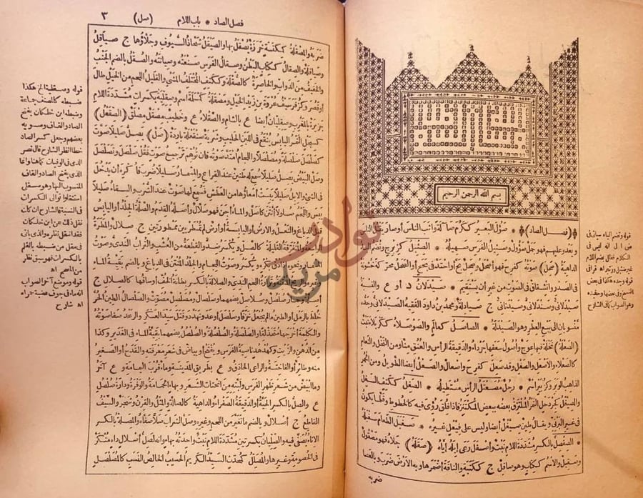 صفحة داخلية كتاب القاموس المحيط مجلدين فصل الصاد