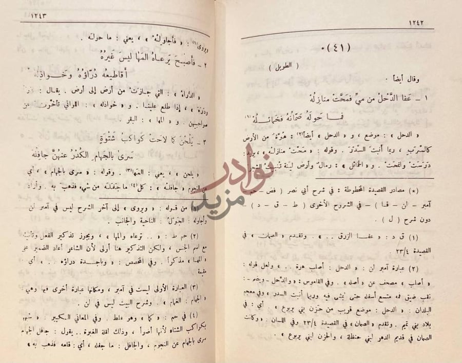 صفحة داخلية كتاب ديوان ذي الرمة