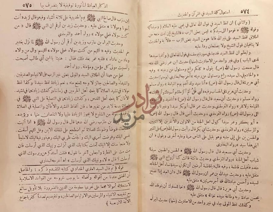 صفحة داخلية كتاب صيانة الانسان عن وسوسة الشيخ دحلان