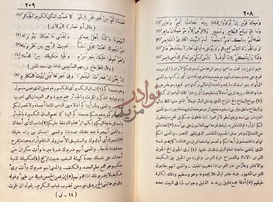 صفحة داخلية كتاب ديوان الحماسة شرح الشعر