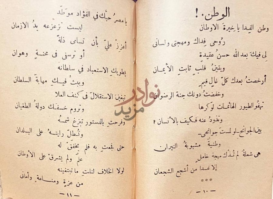 صفحة داخلية كتاب زورق الشجون الوطن