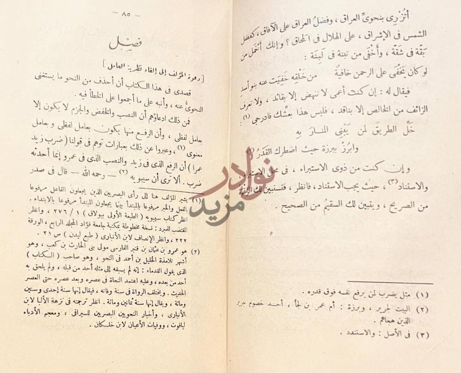 صفحة داخلية كتاب الرد على النجاة فصل