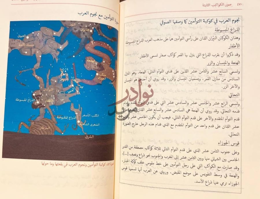 صفحة داخلية كتاب صور الكواكب كوكبة التوأمين