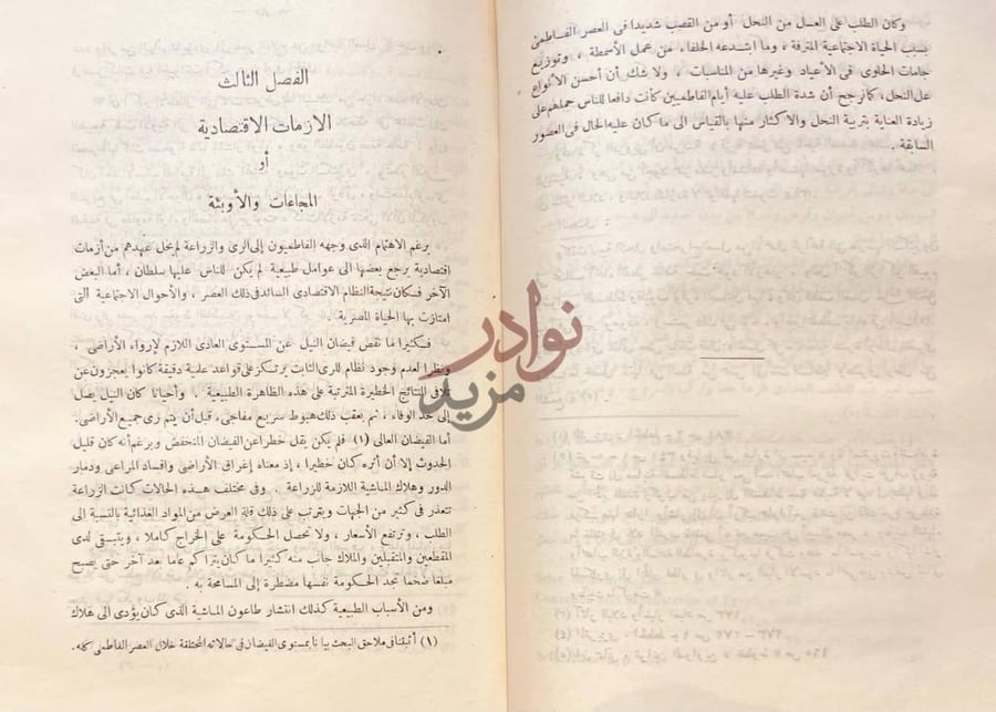 فصل كتاب حالة مصر الاقتصادية في عهد الفاطميين