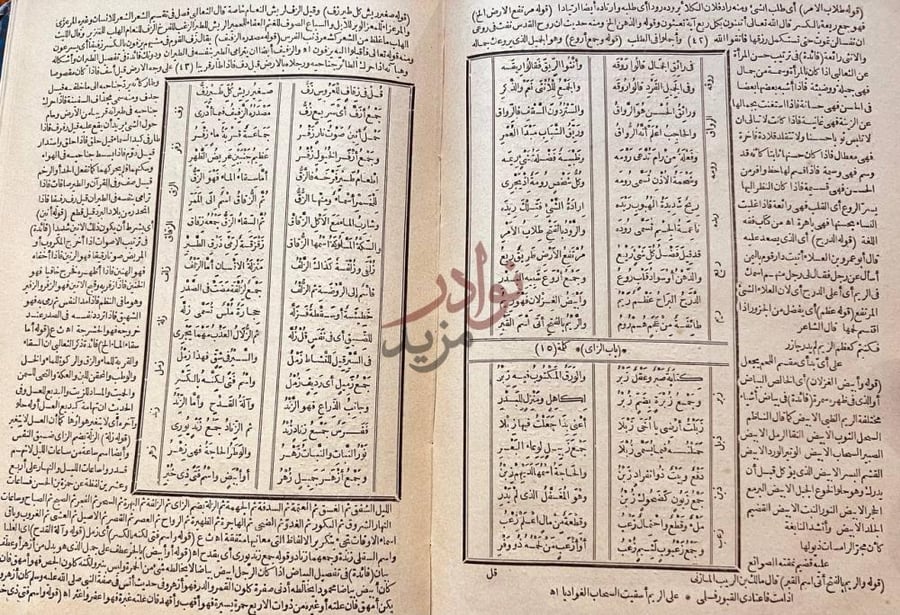 صفحة داخلية كتاب نيل الارب في مثلثات العرب باب الراء
