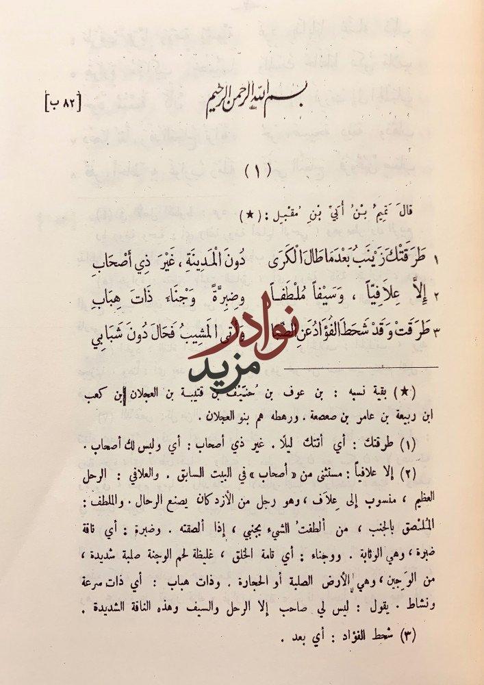 ديوان ابن مقبل