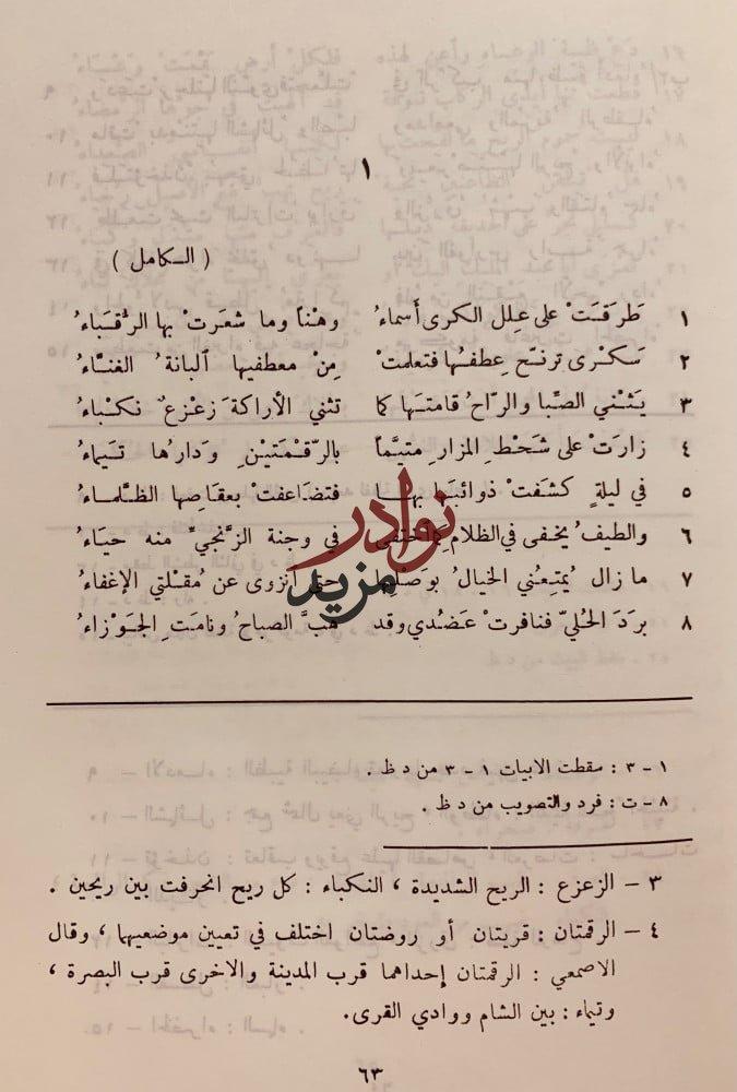 ديوان ابن الزقاق البلنسي وديوان دعبل بن علي الخزاعي وديوان حازم القرطاجني