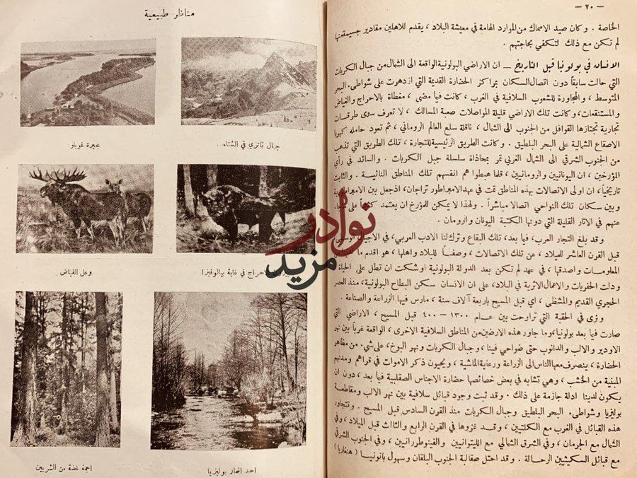 بولونيا بين الماضي والحاضر /يوسف داغر