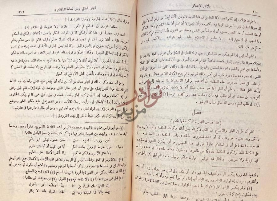 صفحة داخلية كتاب دلائل الاعجاز فصل