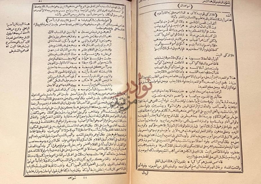صفحة داخلية كتاب شرح شواهد المغني شواهد ألف