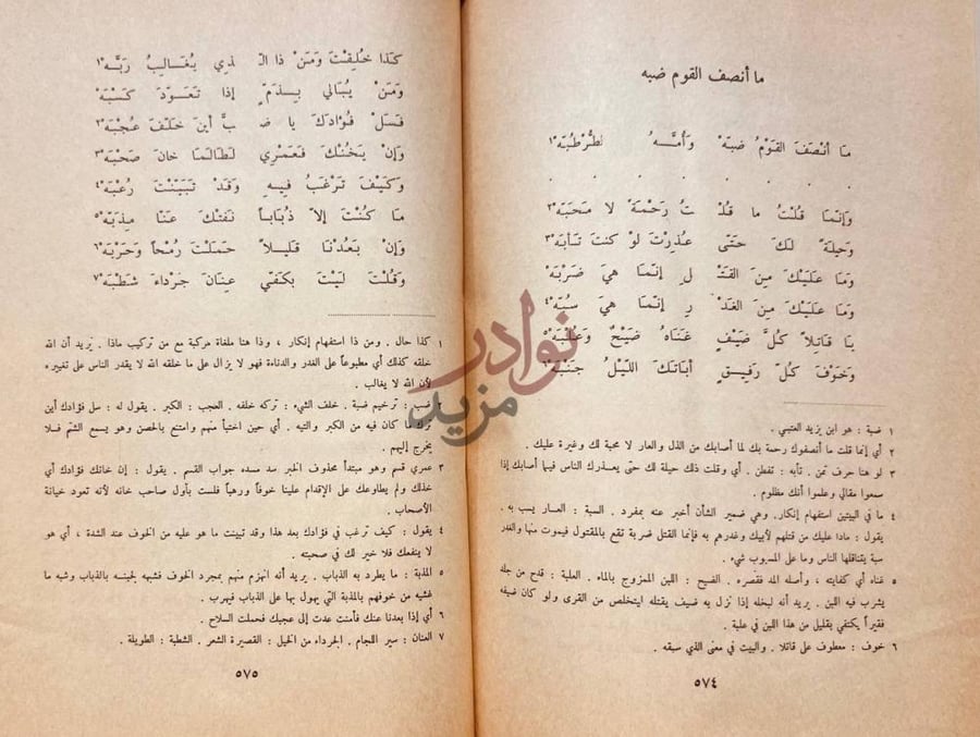صفحة داخلية كتاب ديوان المتنبي ما أنصف القوم ضبه
