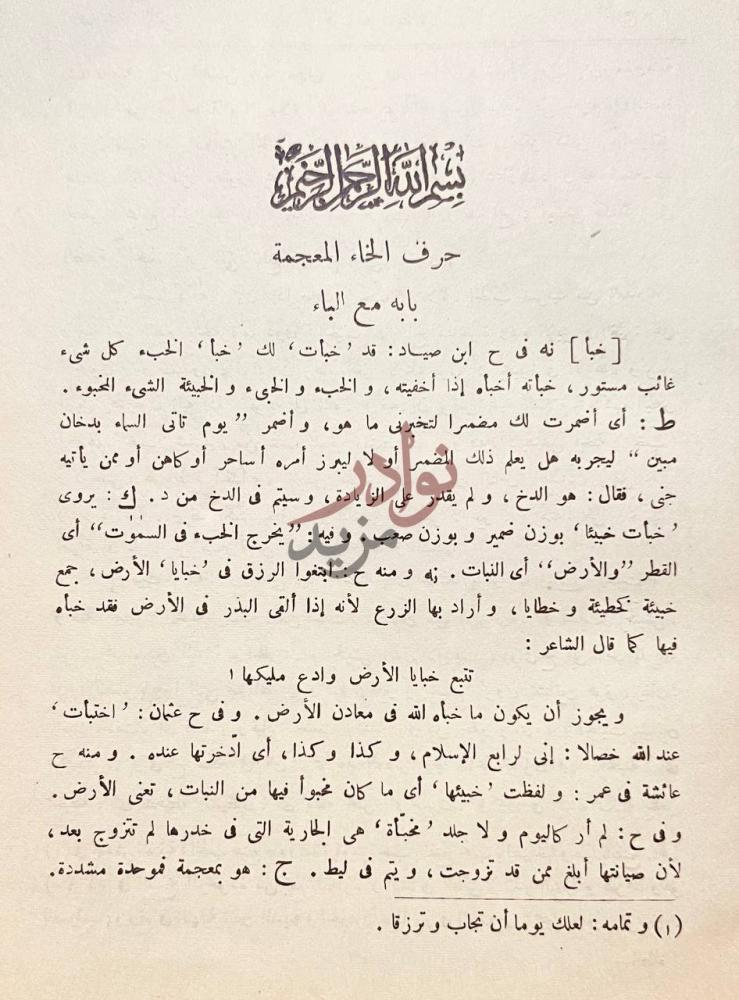صفحة داخلية كتاب مجمع بحار الانوار في غرائب التنزيل ولطائف