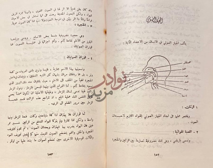 صفحة داخلية كتاب الوجيز في فقه اللغة الجهاز اللغوي