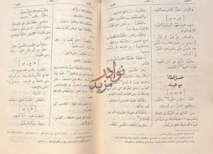 صفحة داخلية كتاب التكملة والذيل والصلة لمافات صاحب القاموس