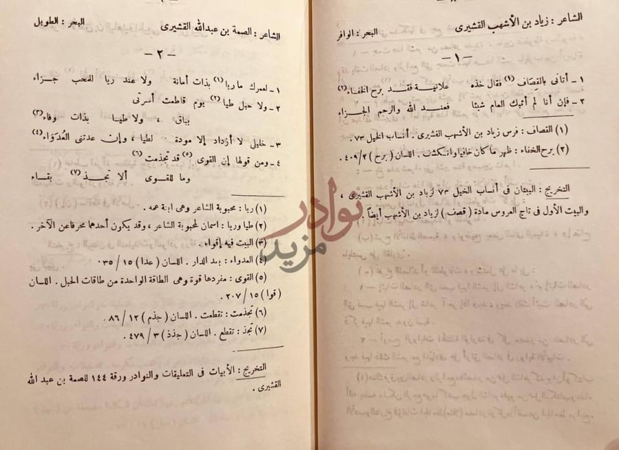 صفحة داخلية كتاب شعراء بني قشير في الجاهلية والإسلام حتى اخر