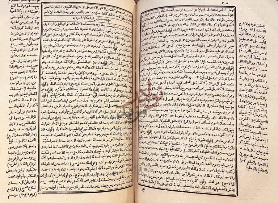 صفحة داخلية كتاب حاشية البرماوي على شرح الغاية