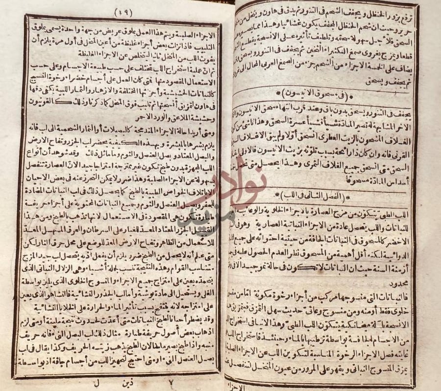 صفحة داخلية كتاب عمدة المتطببين في فن الصيدلة المعروف