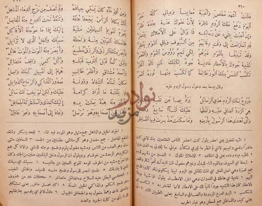 صفحة داخلية كتاب ديوان المتنبي