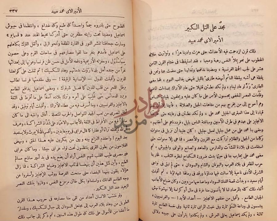 صفحة داخلية كتاب صور من البطولة مجد على التل الكبير