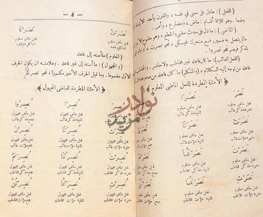 صفحة داخلية كتاب امثلة جديدة في التصريف الأمثلة المطردة