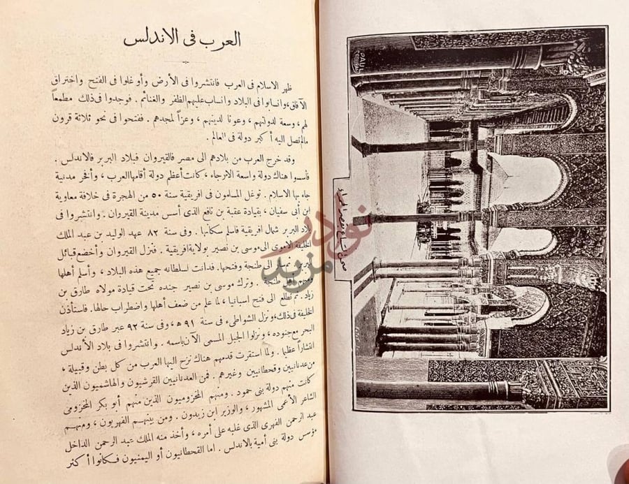صفحة داخلية كتاب بلاغة العرب في الاندلس العرب في الاندلس