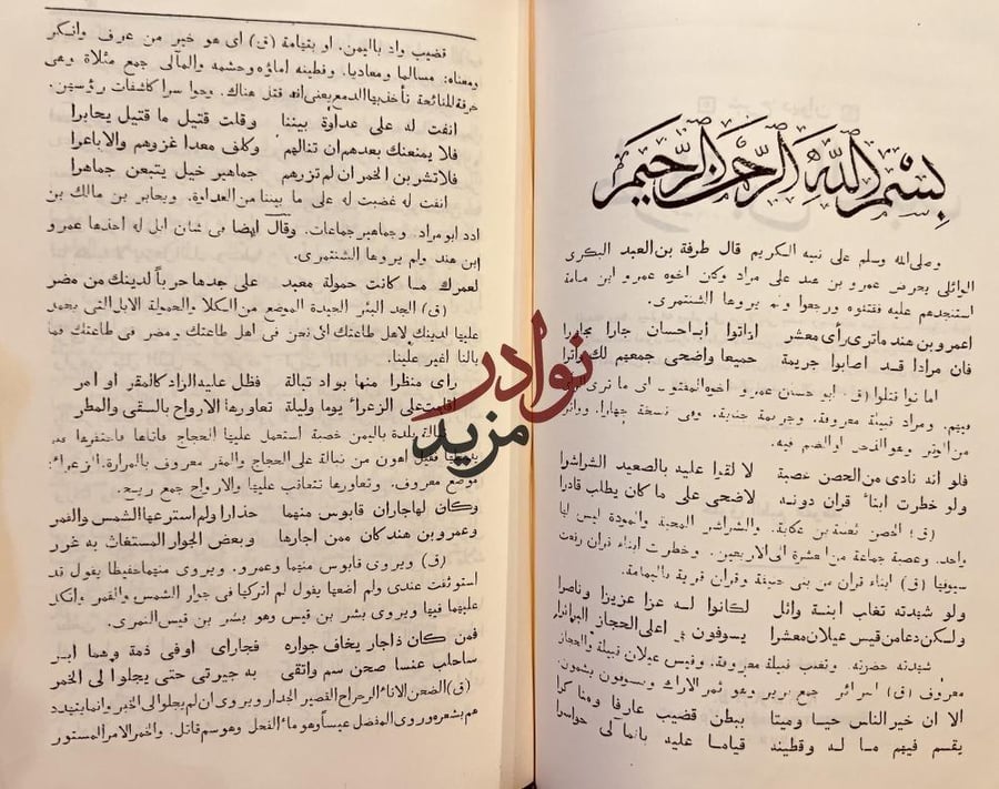 شرح ديوان طرفة بن العبد / شرح معلقة طرفة /الانباري والشنقيطي